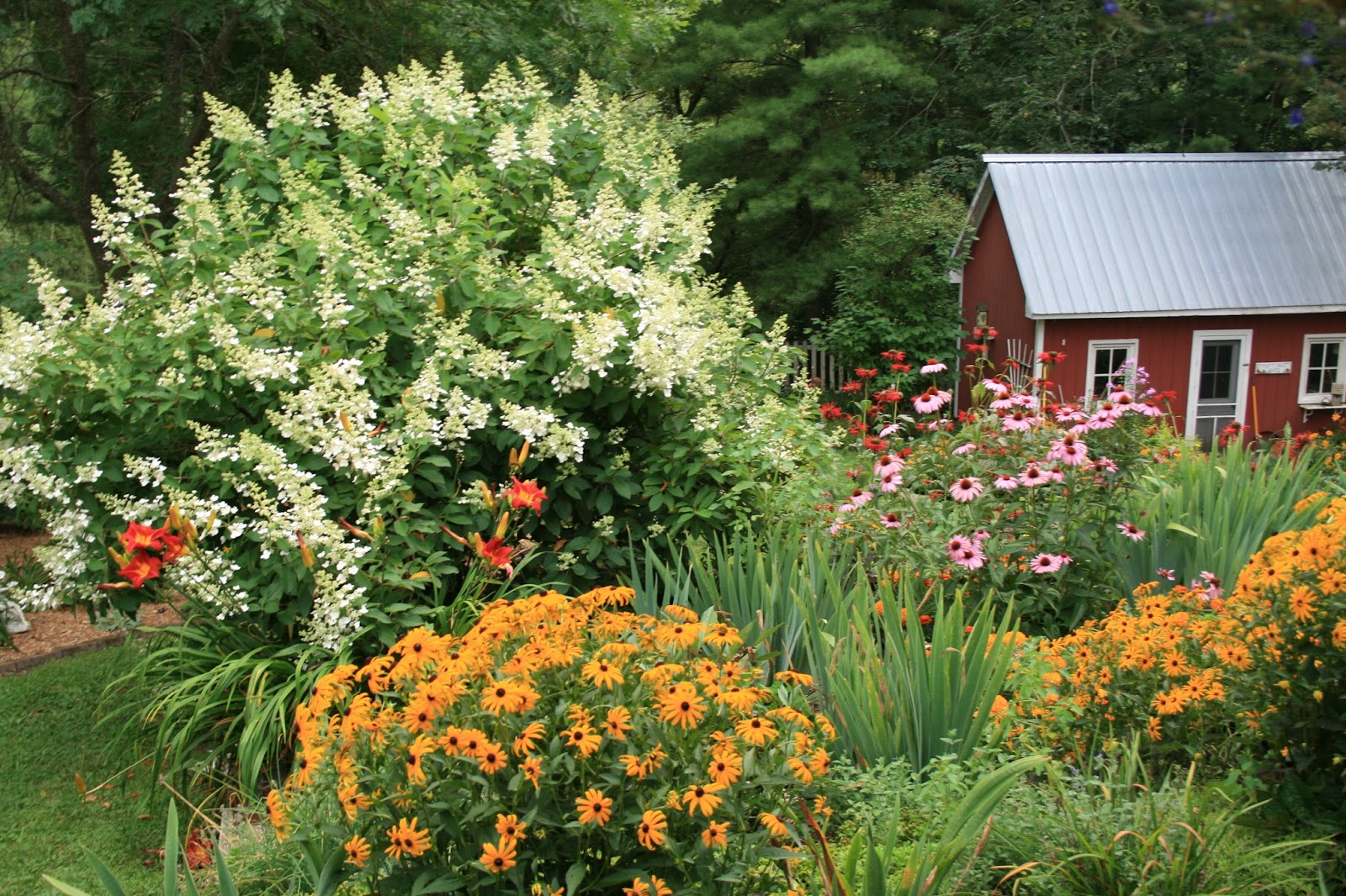 Amy's Creative Pursuits The Early August Garden