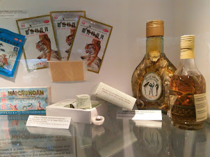 Exhibit of animal poaching products at the Berlin Zoo.