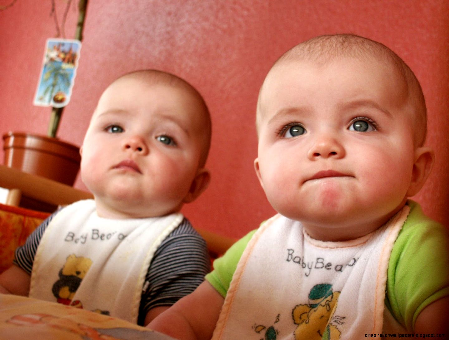 Cute Babies Twins