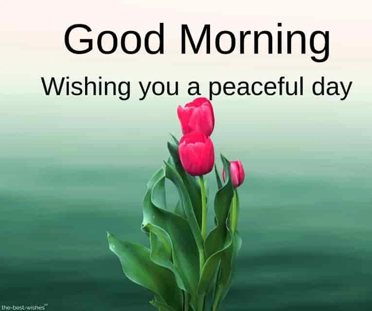 happy good morning images
