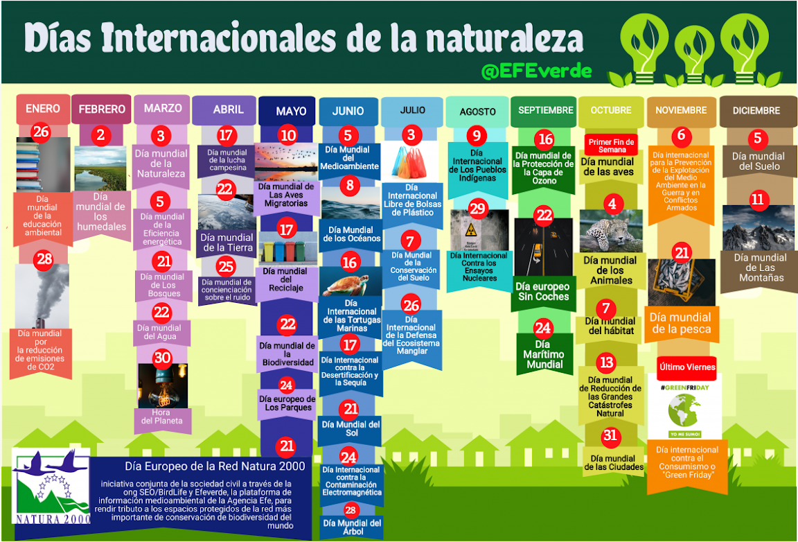 TECNOLOGIA E INFORMATICA