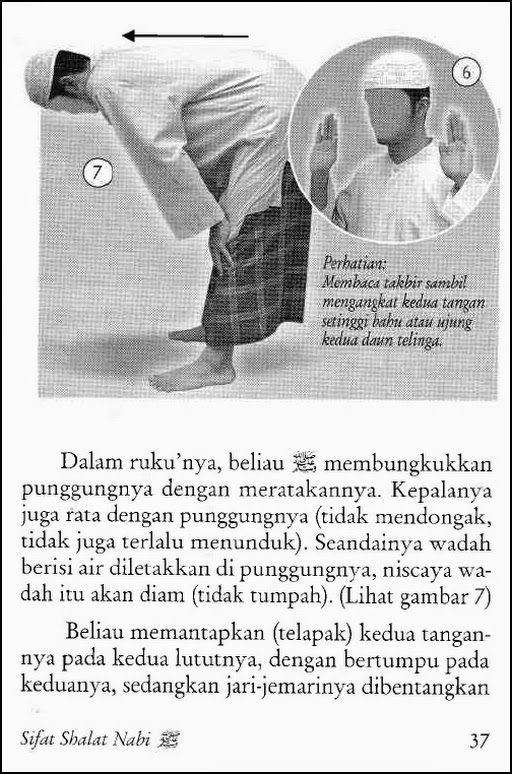 Terjemahan Kitab Alala Pdf Lengkap Kitab Terjemah Lengkap