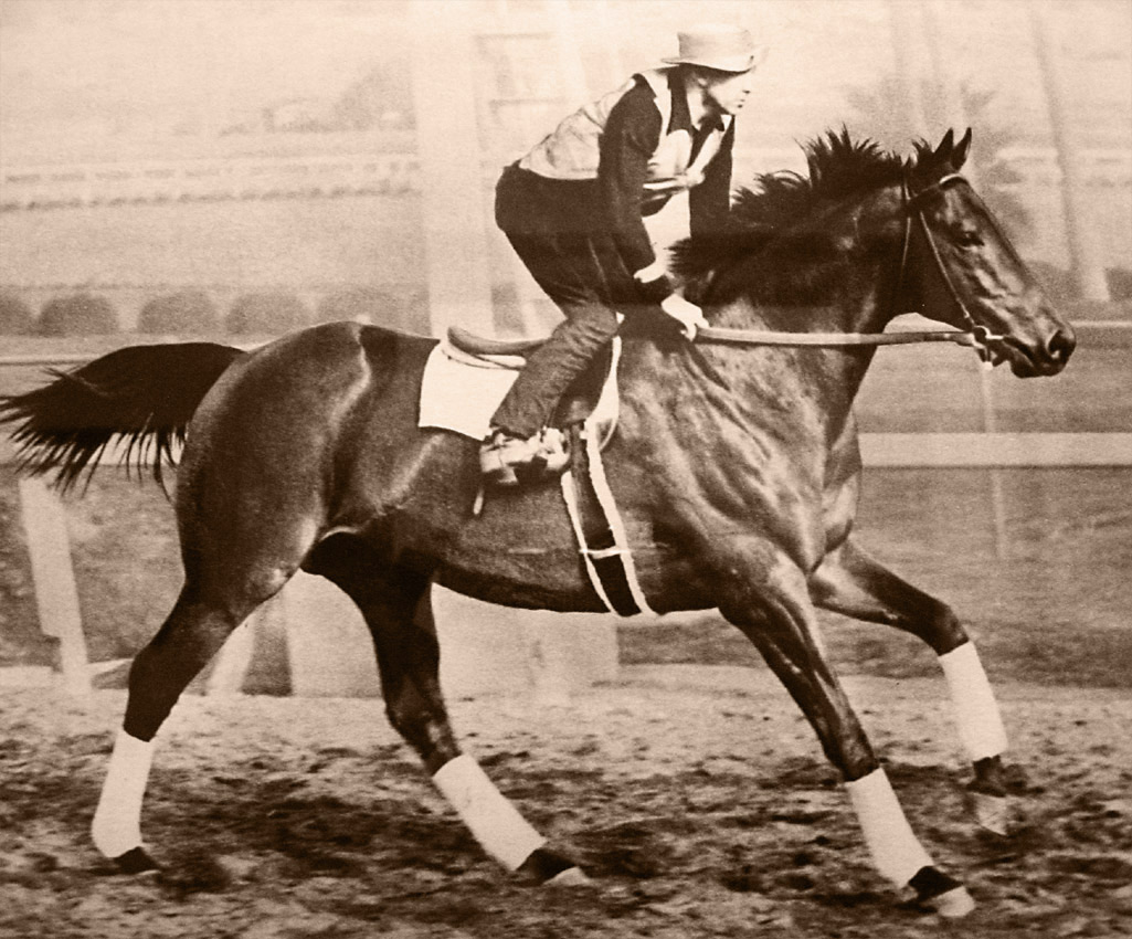 Horse Life and Love Greatest Horses Seabiscuit