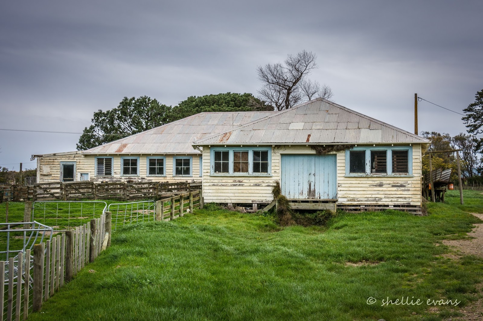 Two Go Tiki Touring Beach Hop South Blackhead Beach & Turkeys
