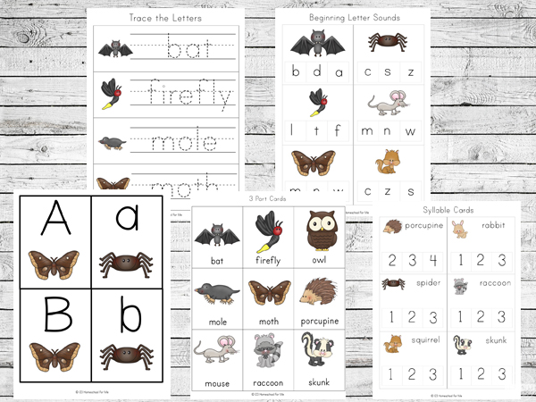 FREE Nocturnal Animals for Kids Worksheets