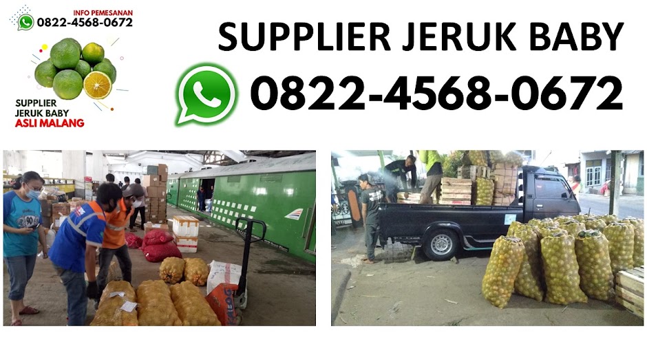 Supplier Jeruk Baby Java | 0822 4568 0672