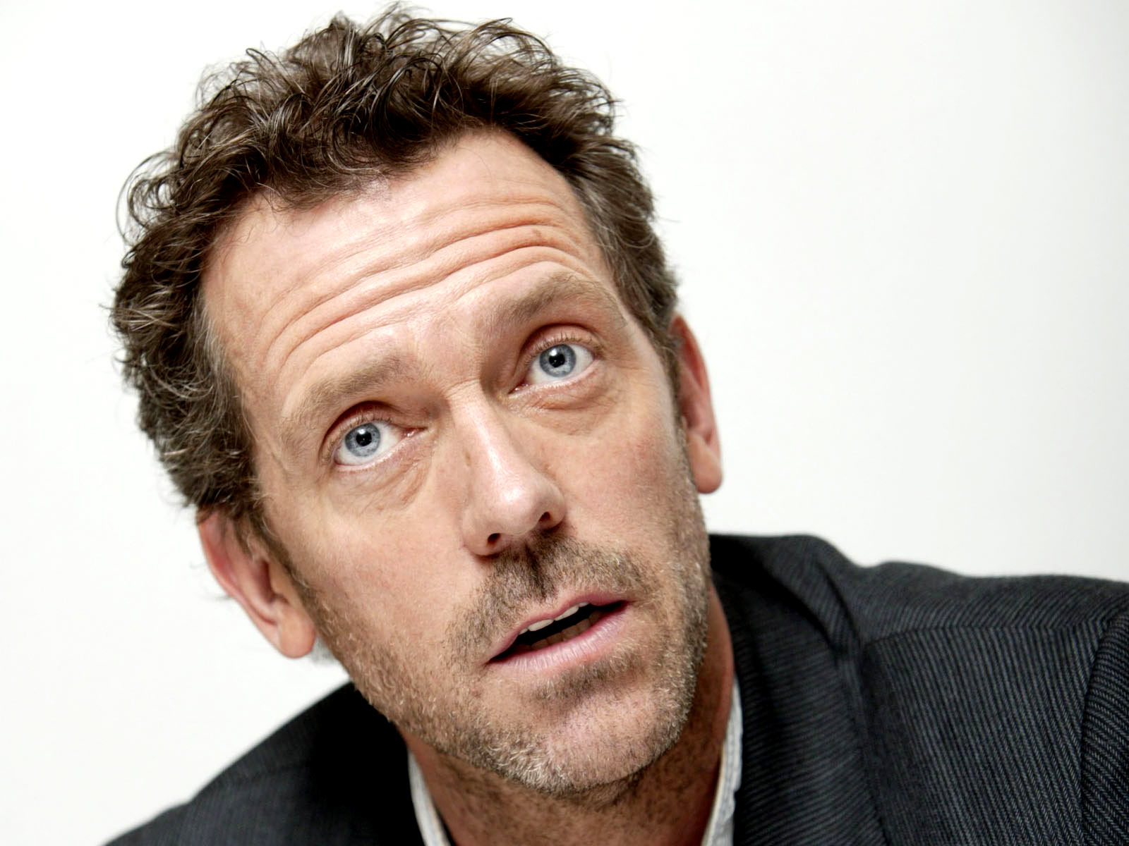 Hugh Laurie Photo Gallery Tv Series Posters and Cast