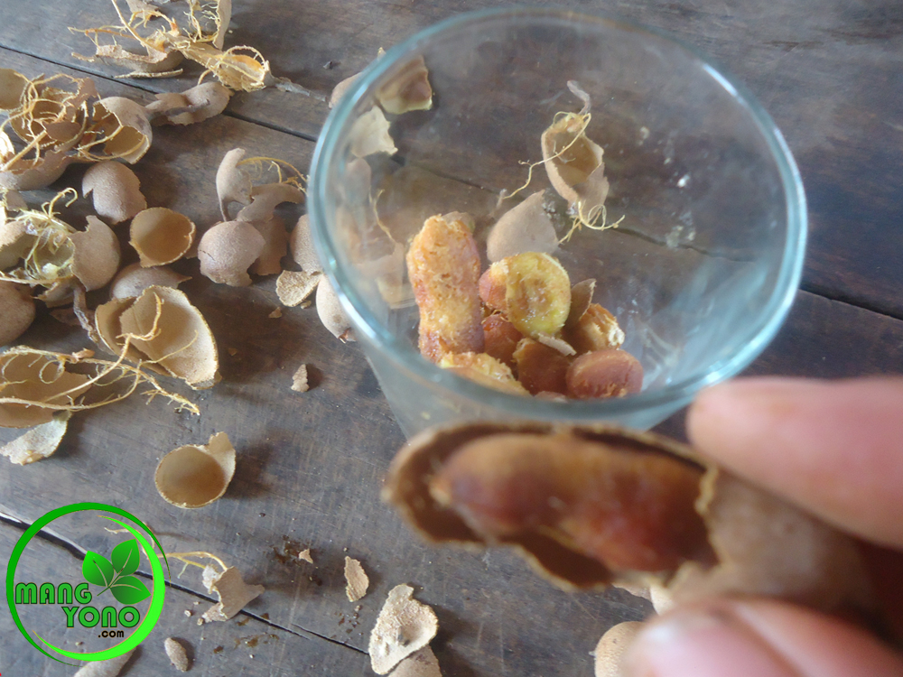 Cara Menyembuhkan Flu Atau Selesma Sariawan Dengan Asem Jawa