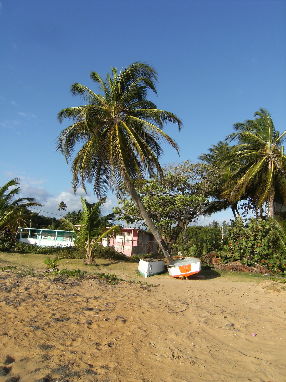 luquillo rico puerto pared playa azul condo surfers san selva juan
