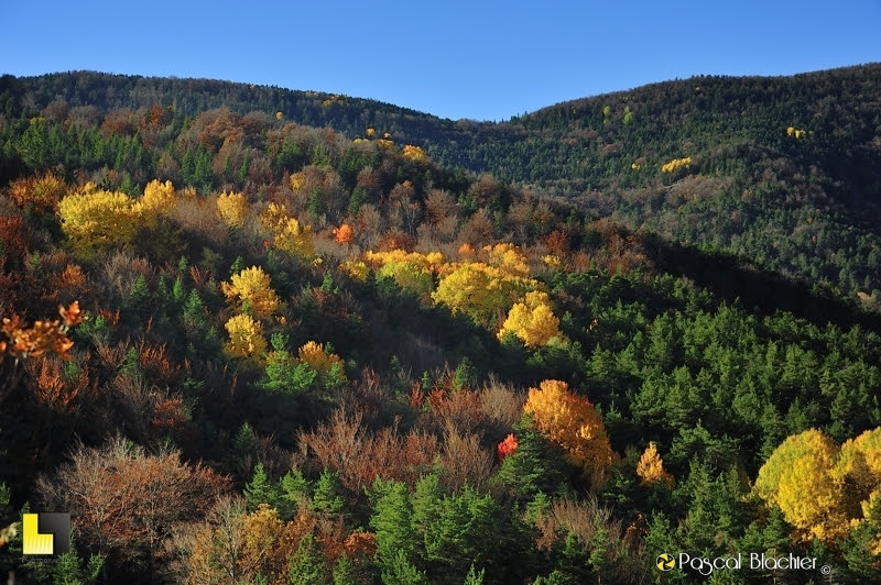 Sur la route en automne photo Pascal Blachier