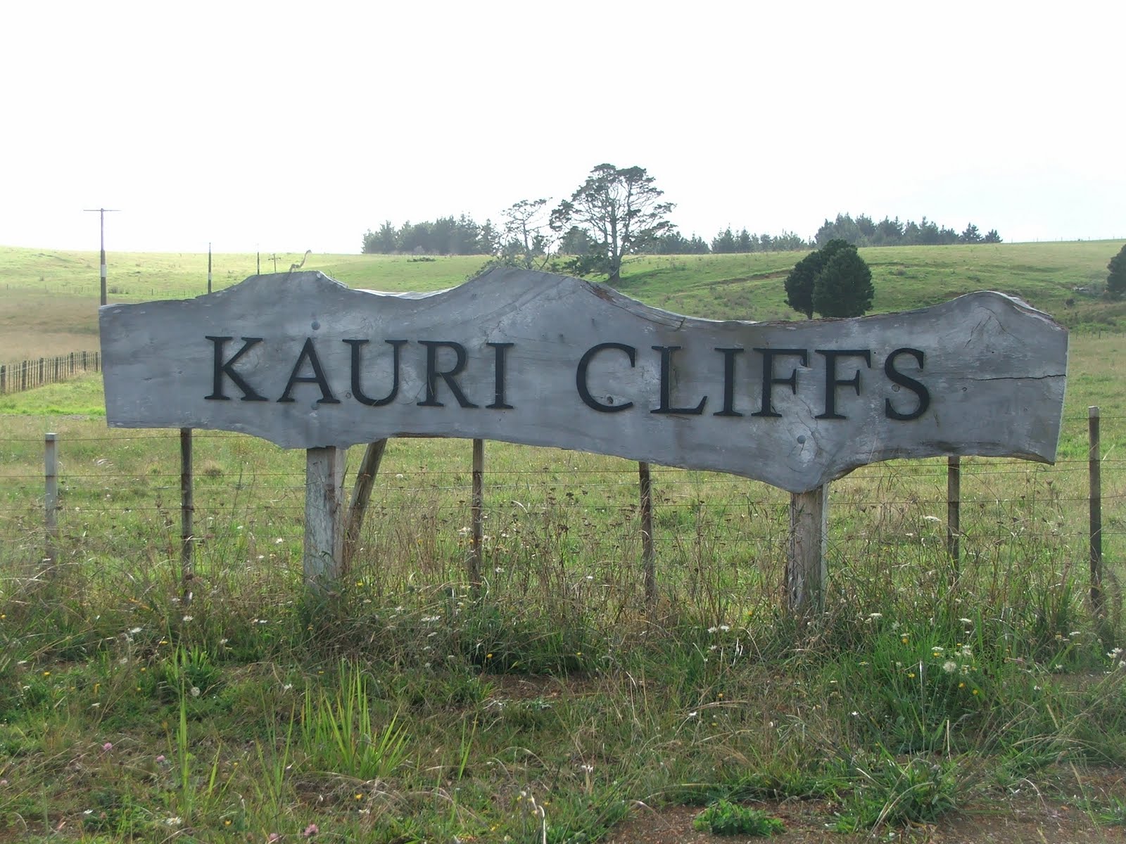 Image result for kauri cliffs golf course