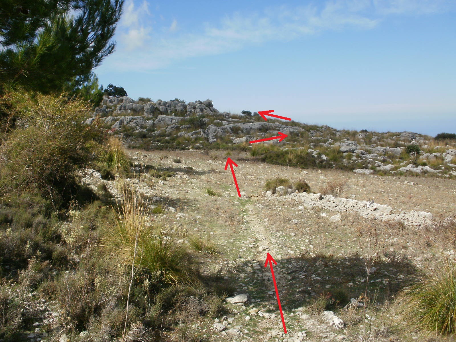 Mis días de montaña: Pas Llis en la Serra d'Alfabia