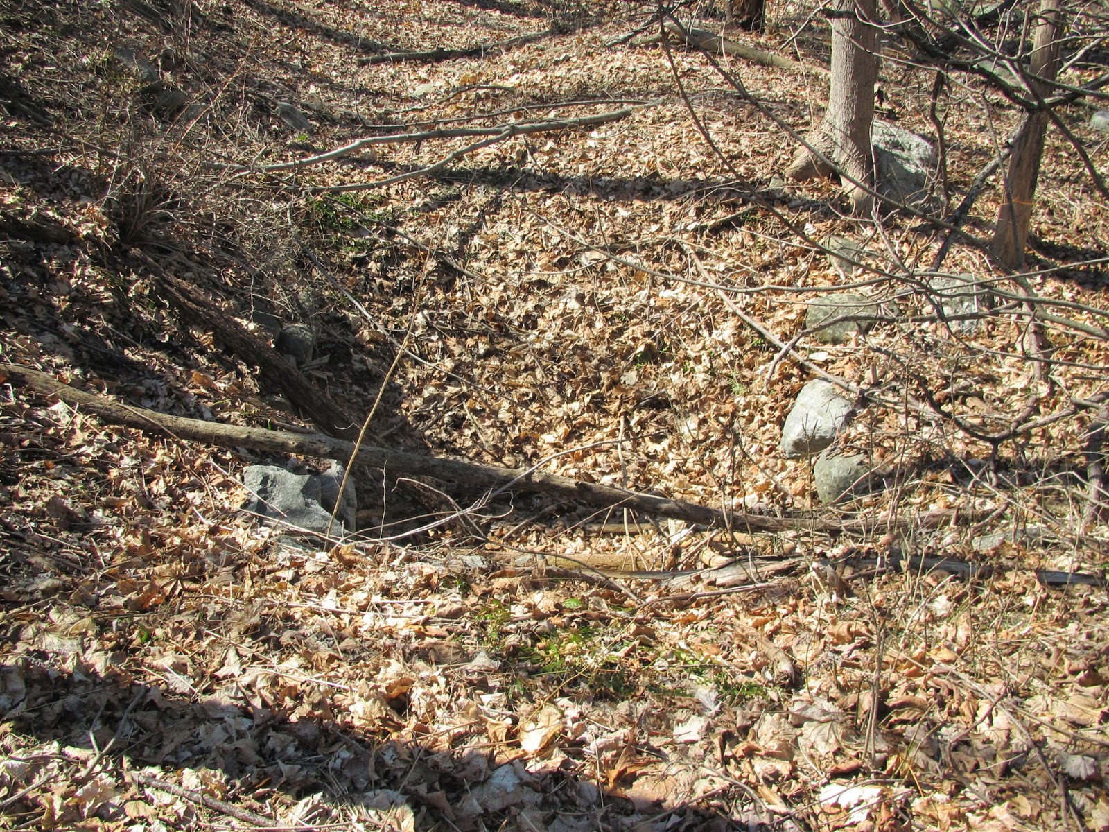 Joel Campbell (17351828) His Life and Times A Visit to Continental