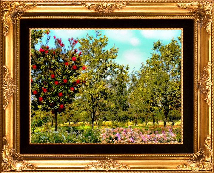 Pigura Frame Untuk Lukisan Pigura And Frames