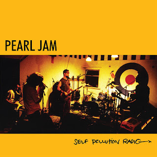 Pearl Jam - Discography 1991 - 2013 - 320 kbps download
