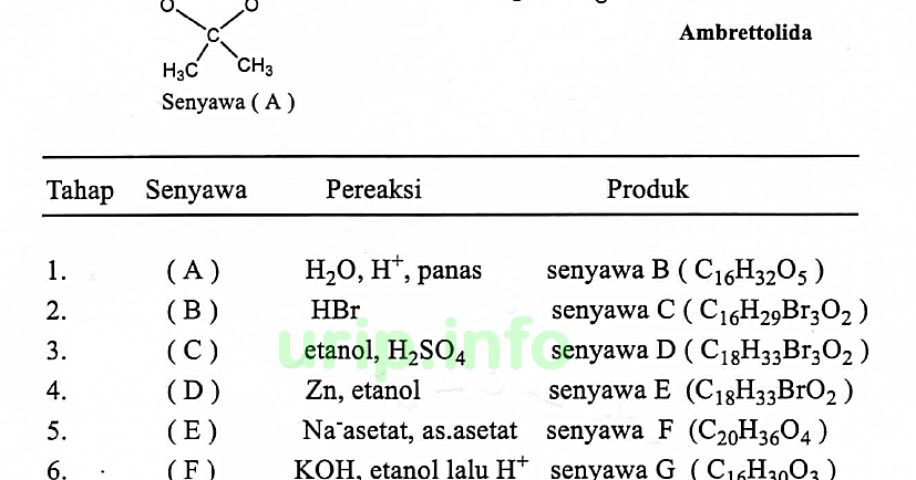 Contoh prepositional phrase image