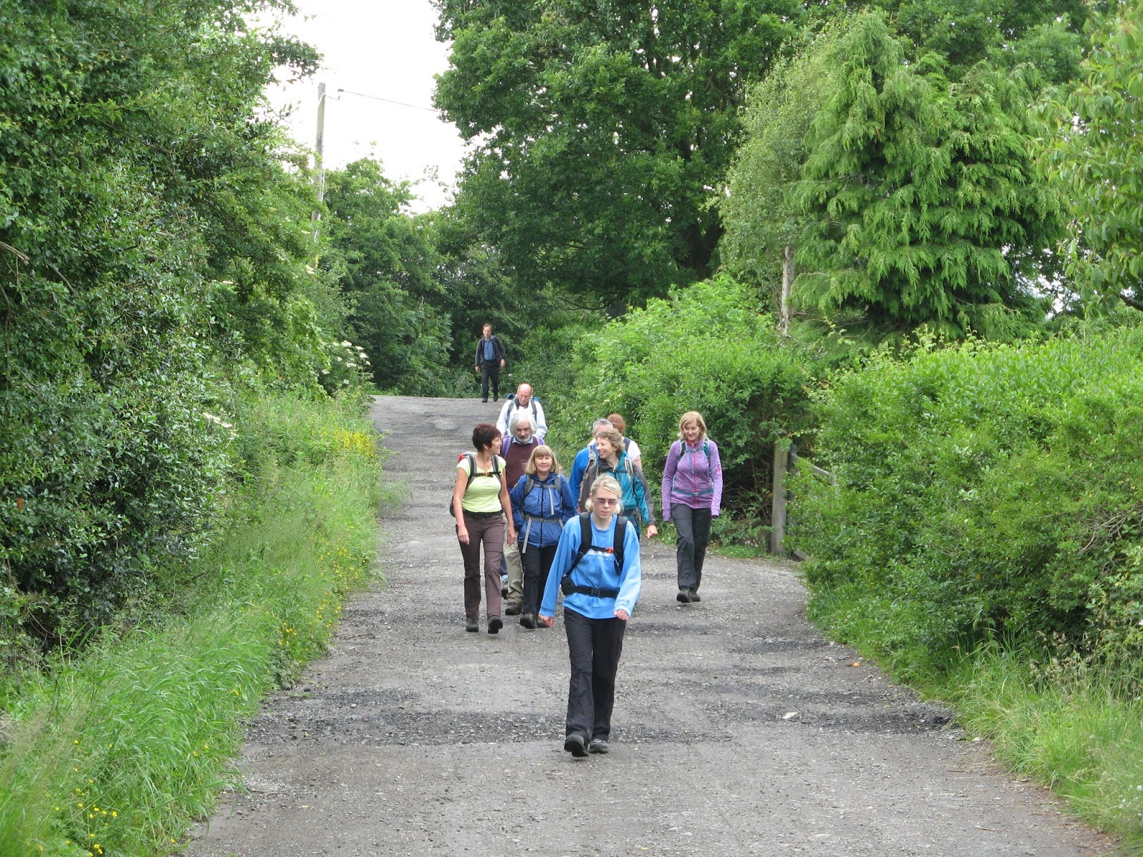 Swog Blog. (Stockport Walking Outdoor Group.) Walk Buxton 28/06/2015