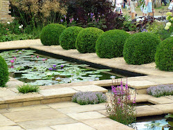 garden tropical minimalist