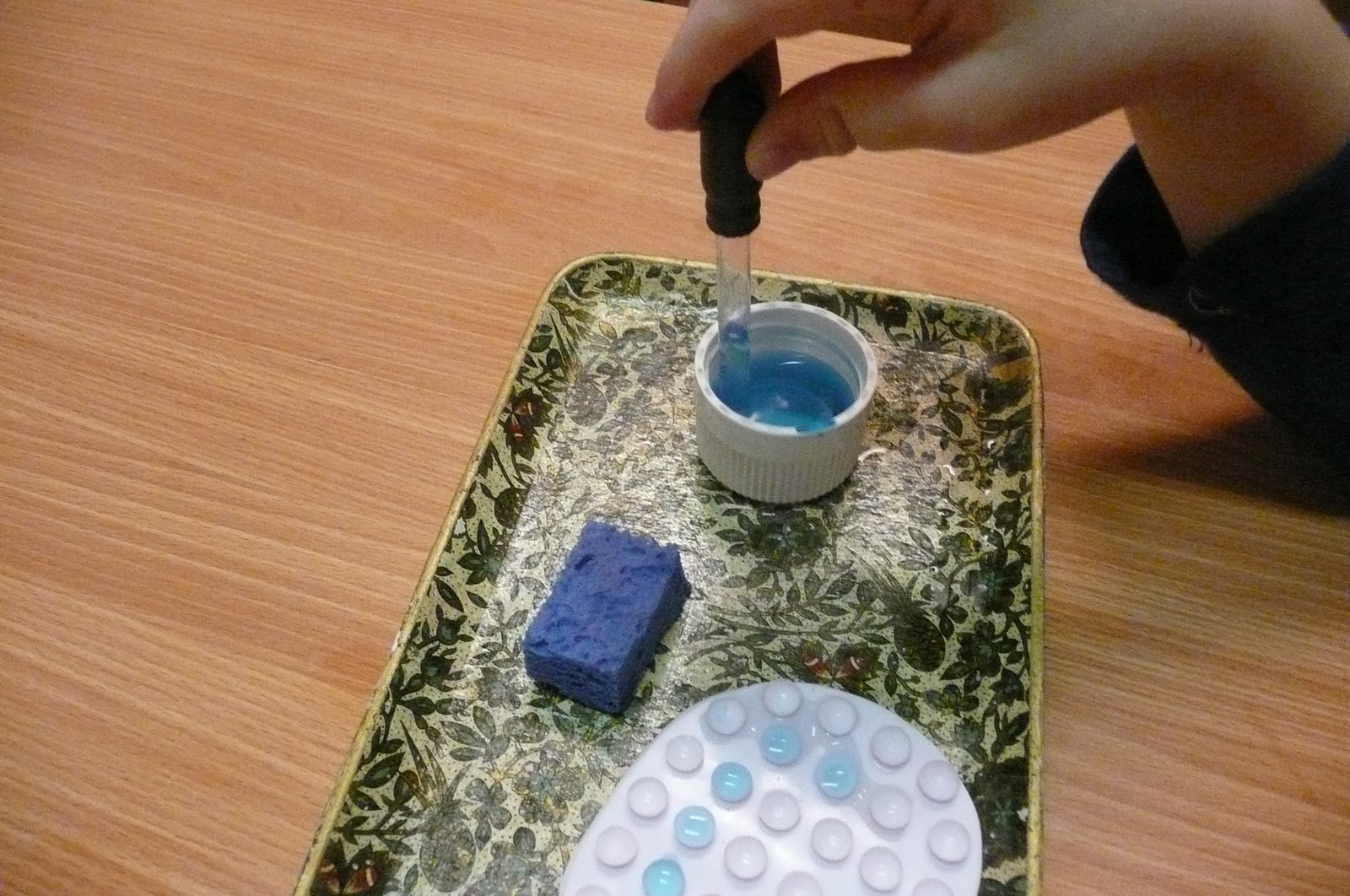 Montessori Teachings Water transfer with a pipette