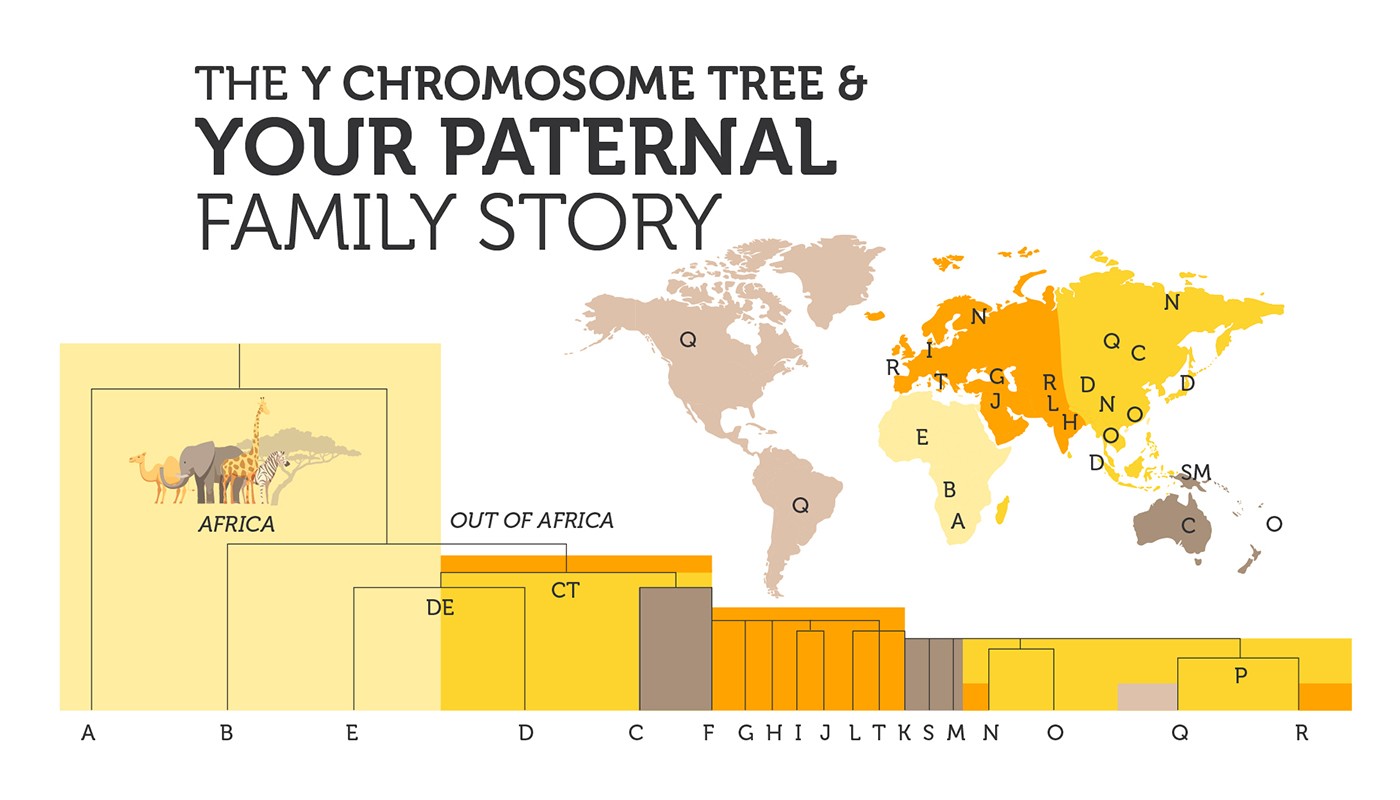 YChromosome Adam & Mitochondrial Eve Is Science Confirming Genesis?