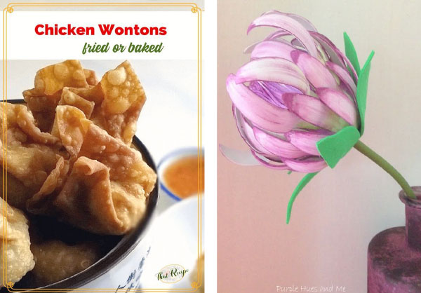 Home Crafts by Ali featured pins - chicken wontons and DIY Protea flower