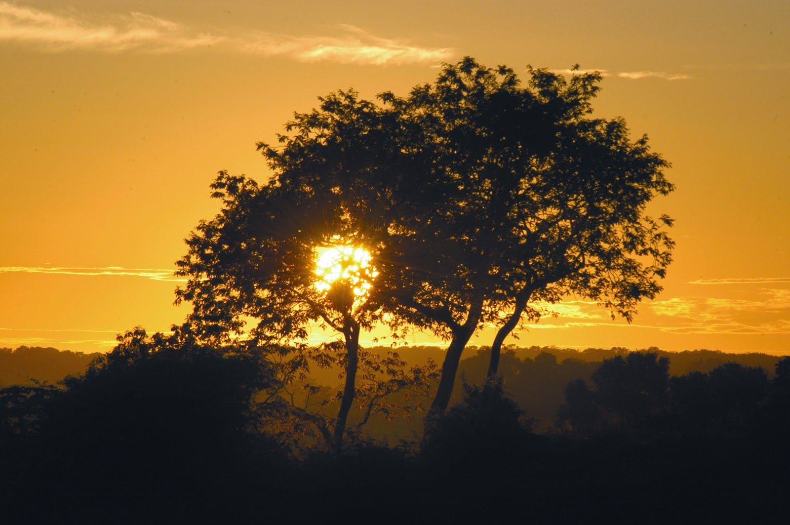 Diamantino Mato Grosso Geografia Total™