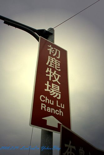 龍田國小|鹿野龍田移民村|台東鹿野景點
