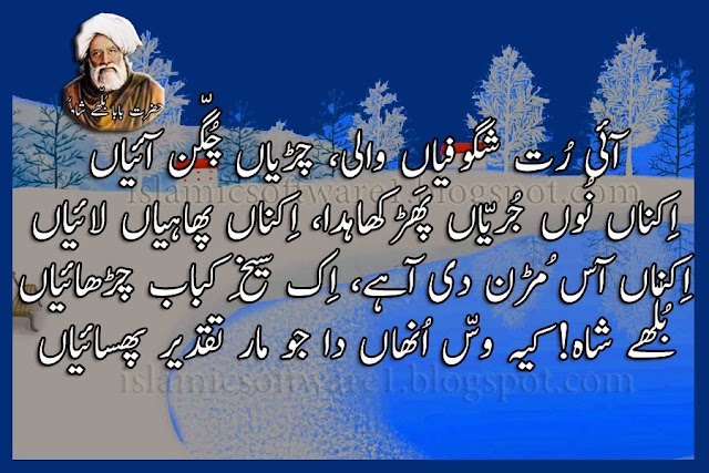 Baba Bulleh Shah Kalam in Punjabi,  Punjabi Poetry by Bulleh Shah, Aqwal e Zareen, Golden Words in Urdu