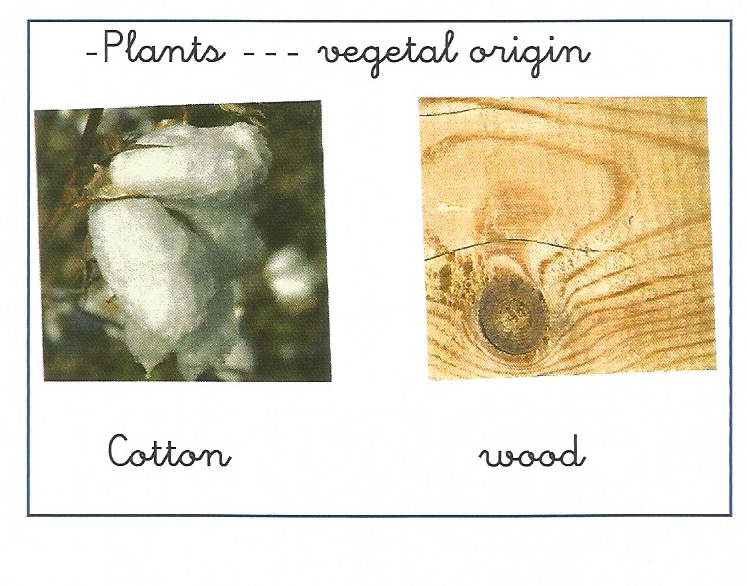 ¡Ya estamos en primaria! Where do materials come from? ( ¿De dónde proceden los materiales?)