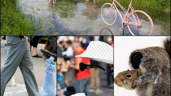 Freak Arti: Makna dan Pengertian di Balik Kata yang Menarik Perhatian