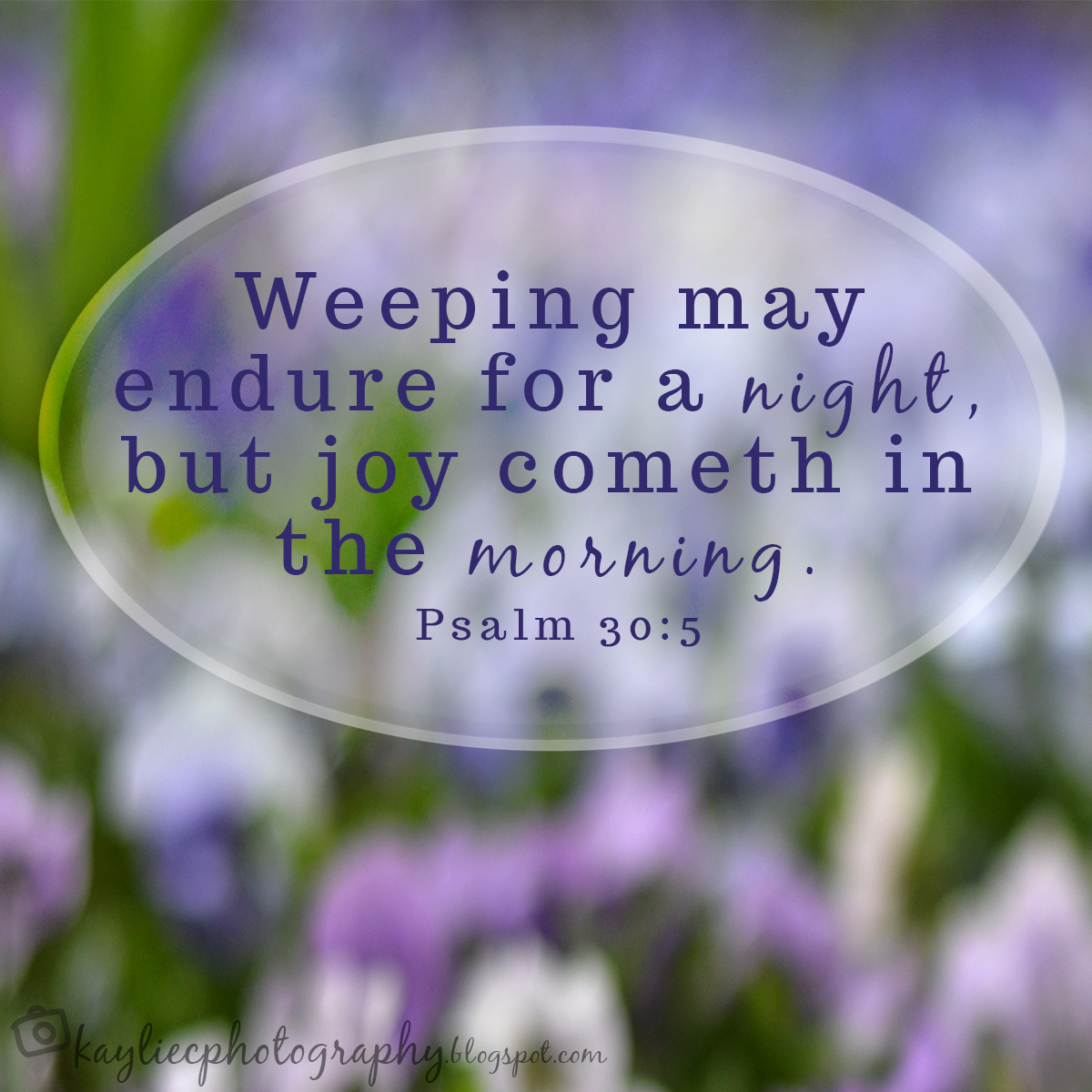 Kaylie Photography Psalm 30 5 kaylie-photography-psalm-30-5