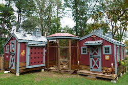 chicken houses huffington via