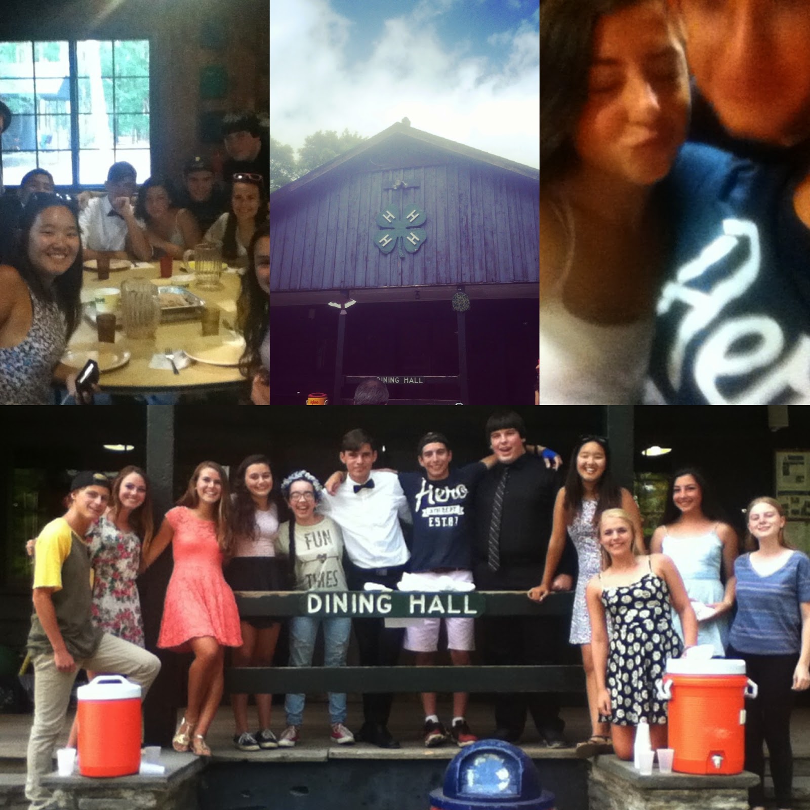 Go Back to the Mountains Photo Phinalists! Foto Finalists? The English