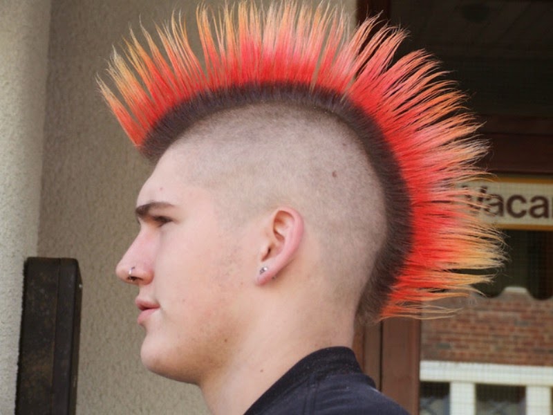 Punk Hairstyles mohawk rebelion punk img 7
