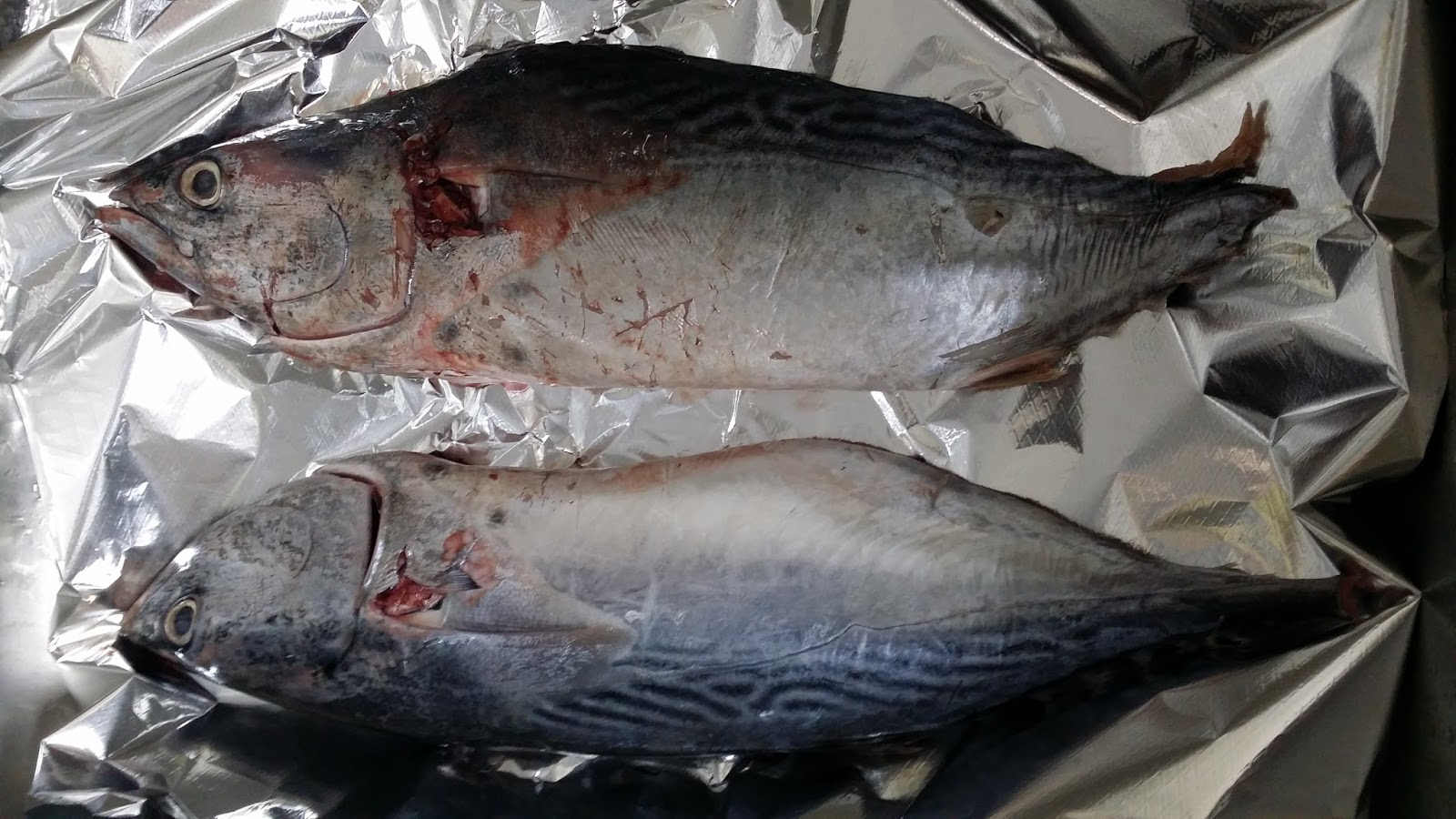 Healthy Great Tasting Grilled Whole Fish Mackerel Tuna