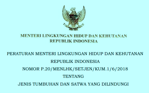 Ini Daftar Nama Burung Yang Dilindungi Berdasarkan Permen Lhk No