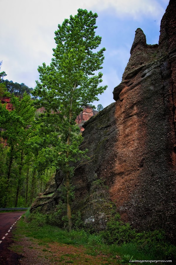 Parque Natural del Alto Tajo