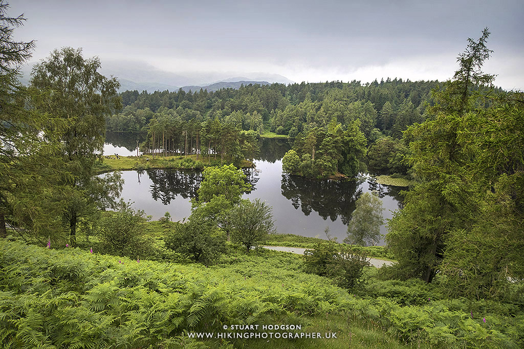 Tarn hows, best, walk, route, map, Lake District, lakes, Beatrix Potter, national trust, Glen Mary