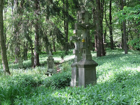 Cmentarz wsi Świerzowa Ruska.