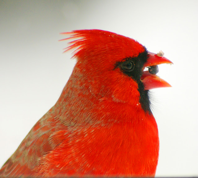 The Pen of the Wayfarer Before You Were Born I Loved You!