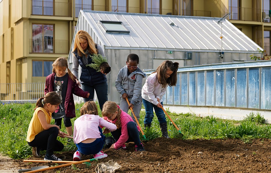 Зеленая школа проект официальный сайт