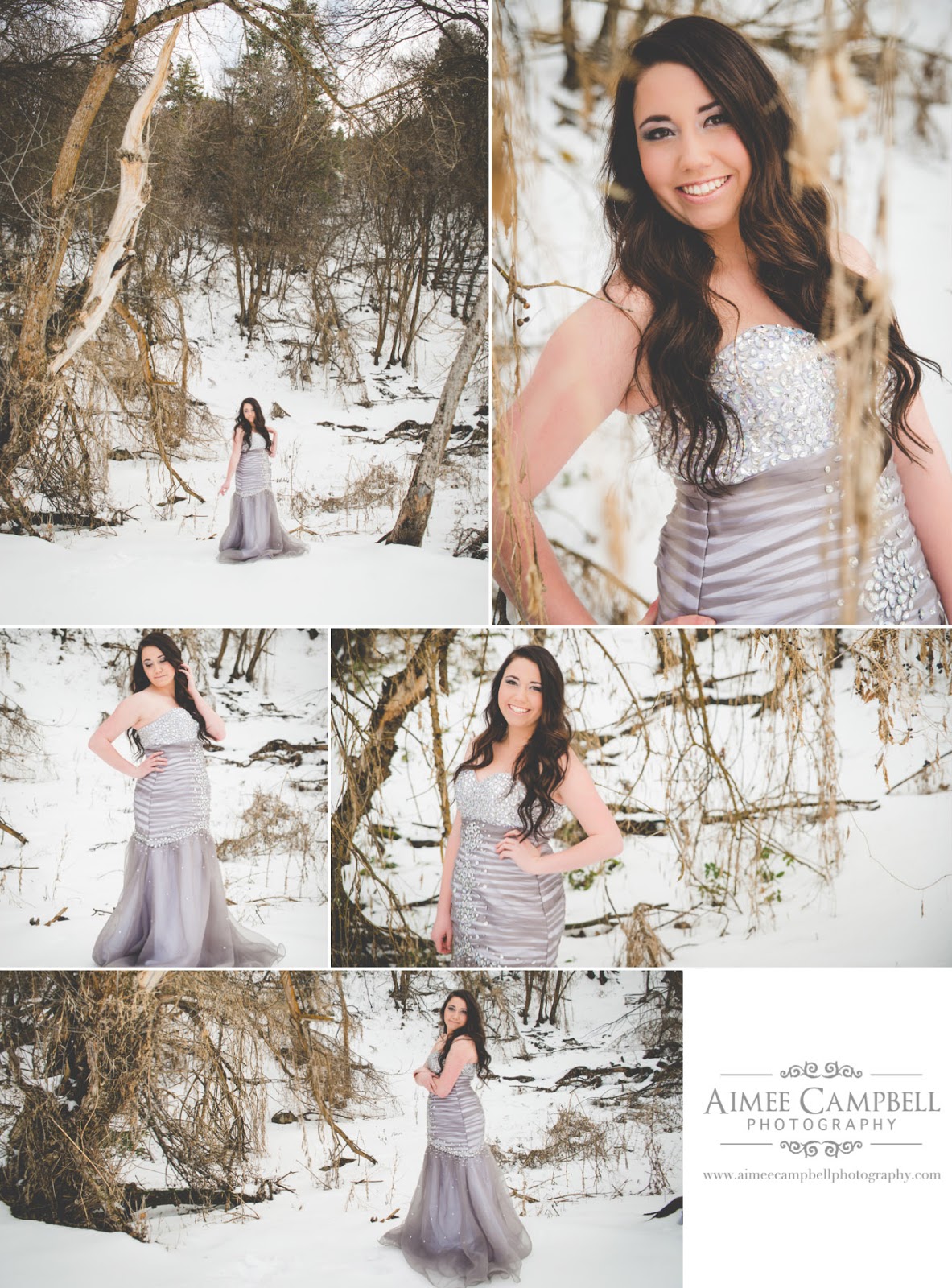 Logan Utah Senior, Family, and Portrait Photographer April 2015