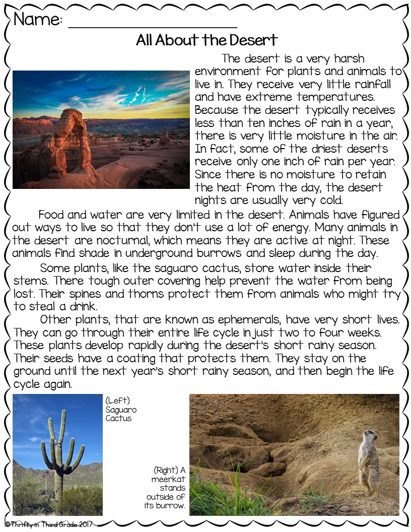 3rd Grade Weather & Climate NGSS | Thrifty in Third Grade