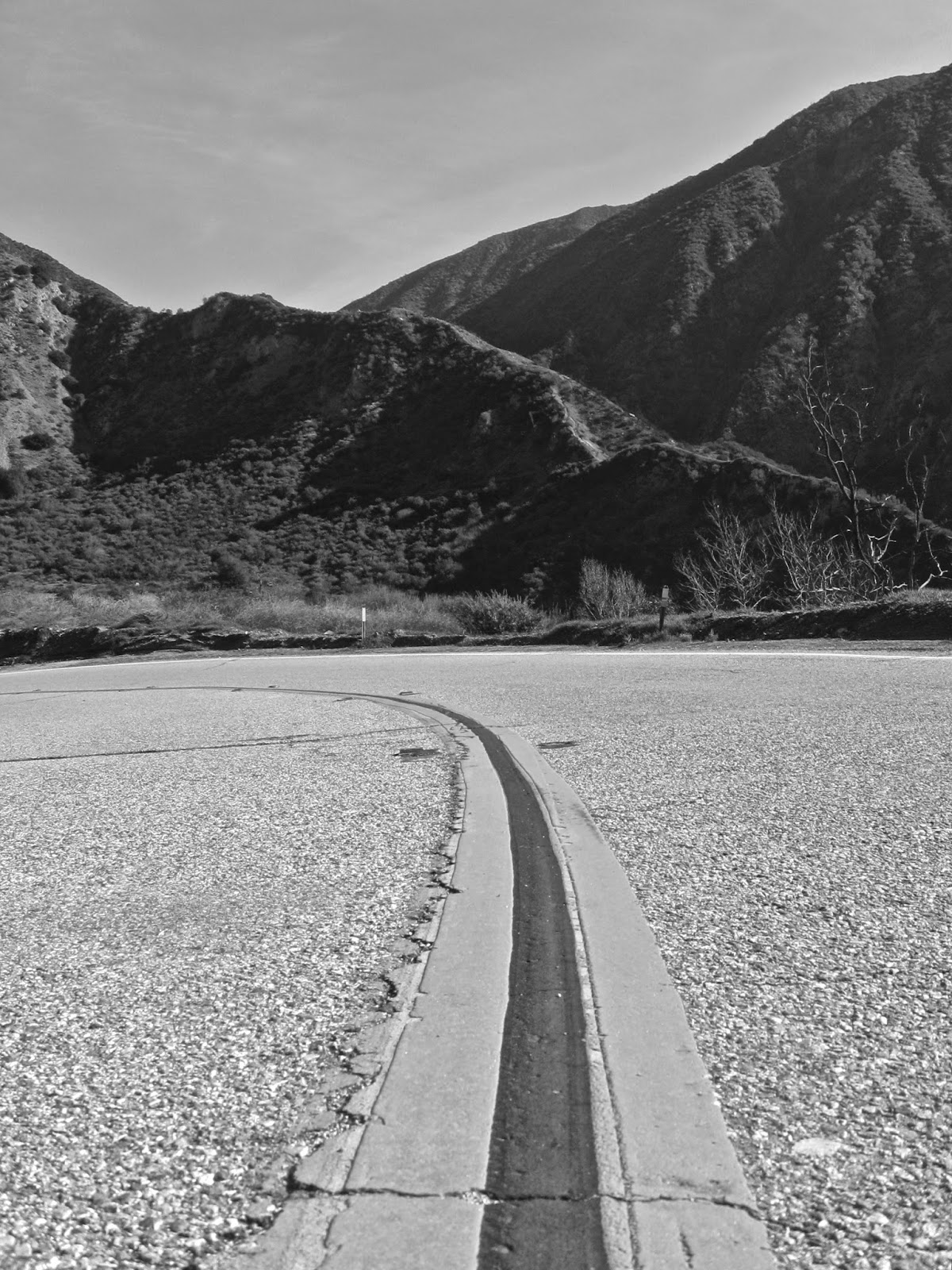 Unidentified on Mt. Baldy Road