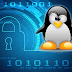 Investigador de Google publica 14 vulnerabilidades que afectan a Linux mediante USB.