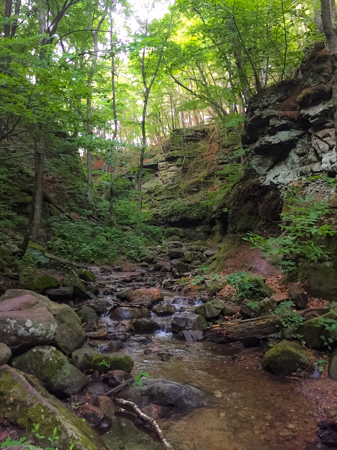 Parfreys Glen State Natural Area