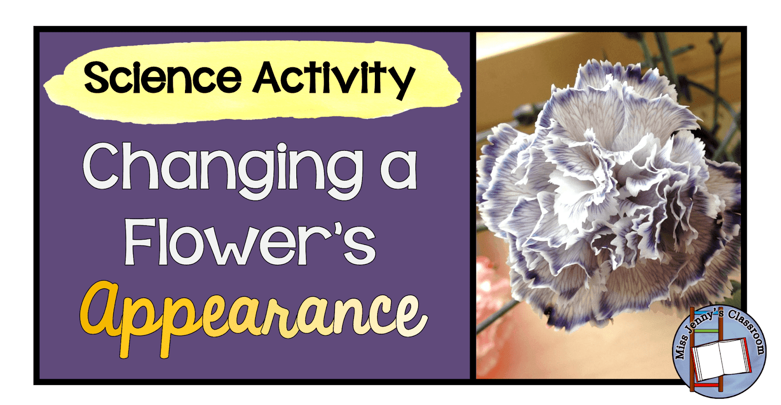 Changing a Flower's Appearance Activity Miss Jenny's Classroom and