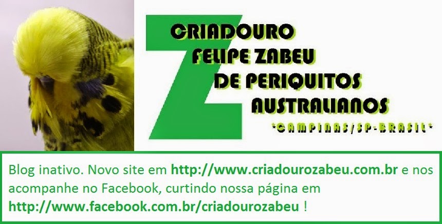 CRIADOURO FELIPE ZABEU DE PERIQUITOS AUSTRALIANOS