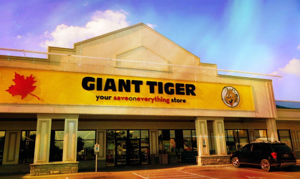 Stealing Hamilton Giant Tiger