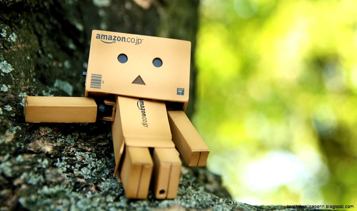 Danbo Pictures